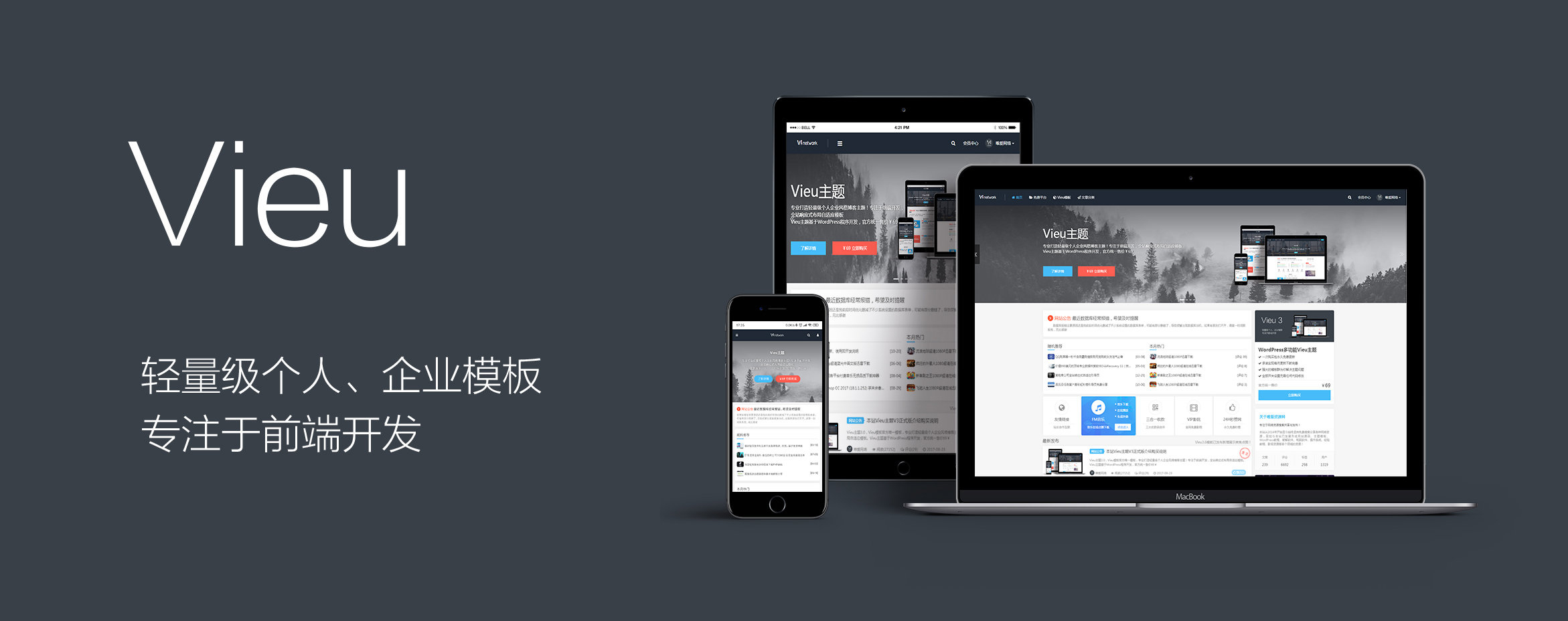 VieuV2-V1.0版本:多功能资讯类WordPress主题