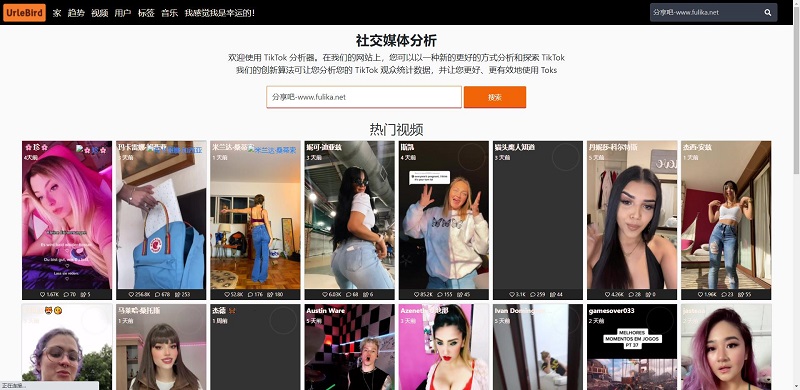 UrleBird:一个可以在线观看TikTok视频的网站