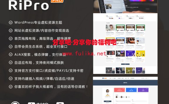 Ripro主题V8.9免授权开心版